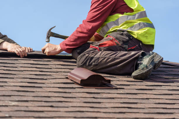 Best Roof Gutter Cleaning  in Essexville, MI