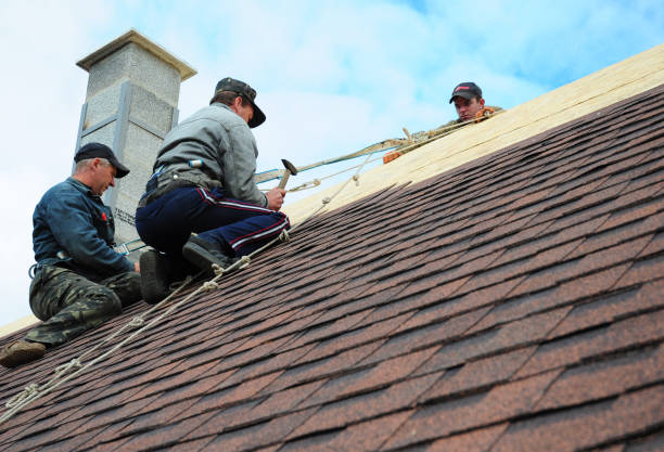 Best Metal Roofing Contractor  in Essexville, MI